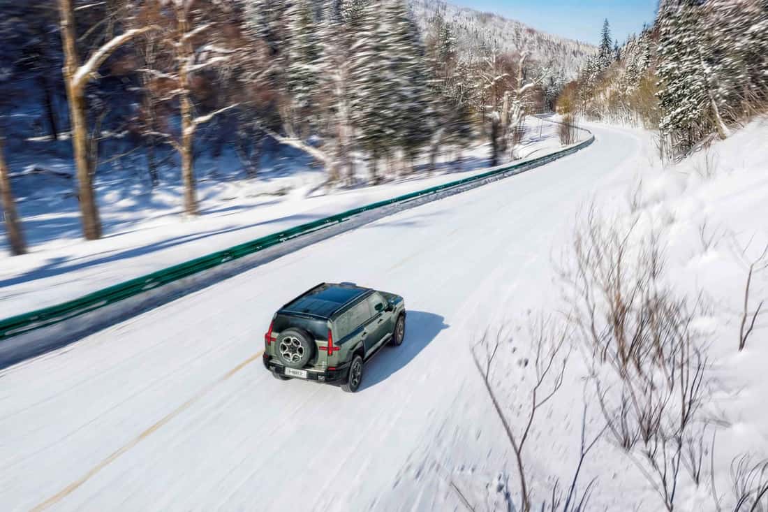 MHERO 2 — Bosques nevados
